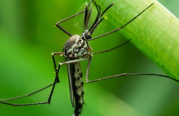Stay Informed: 6 Things You Need To Know About The Zika Virus