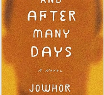 And After Many Days: A New Nigerian Novelist Publishes a Highly Anticipated Debut Work