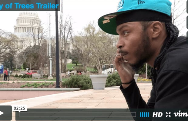 How Planting Trees Helped This Ex-Offender Turn His Life Around