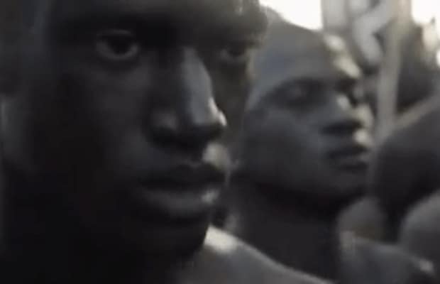 This ‘Roots Syllabus’ Should Be Required Reading For All